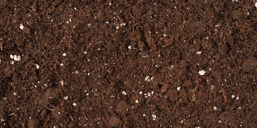 Anti-rhizome et terreaux