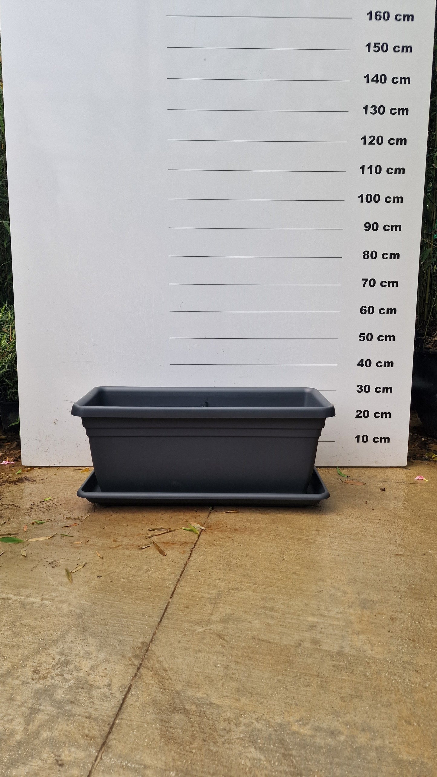 Jardinière Spécial Bambou - 30/50/110L