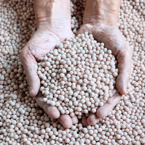 Engrais Spécial Bambou - Croissance Rapide