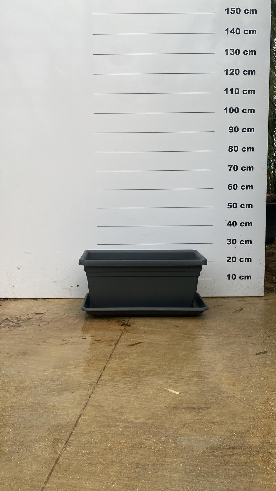 Jardinière Spécial Bambou - 30/50/110L