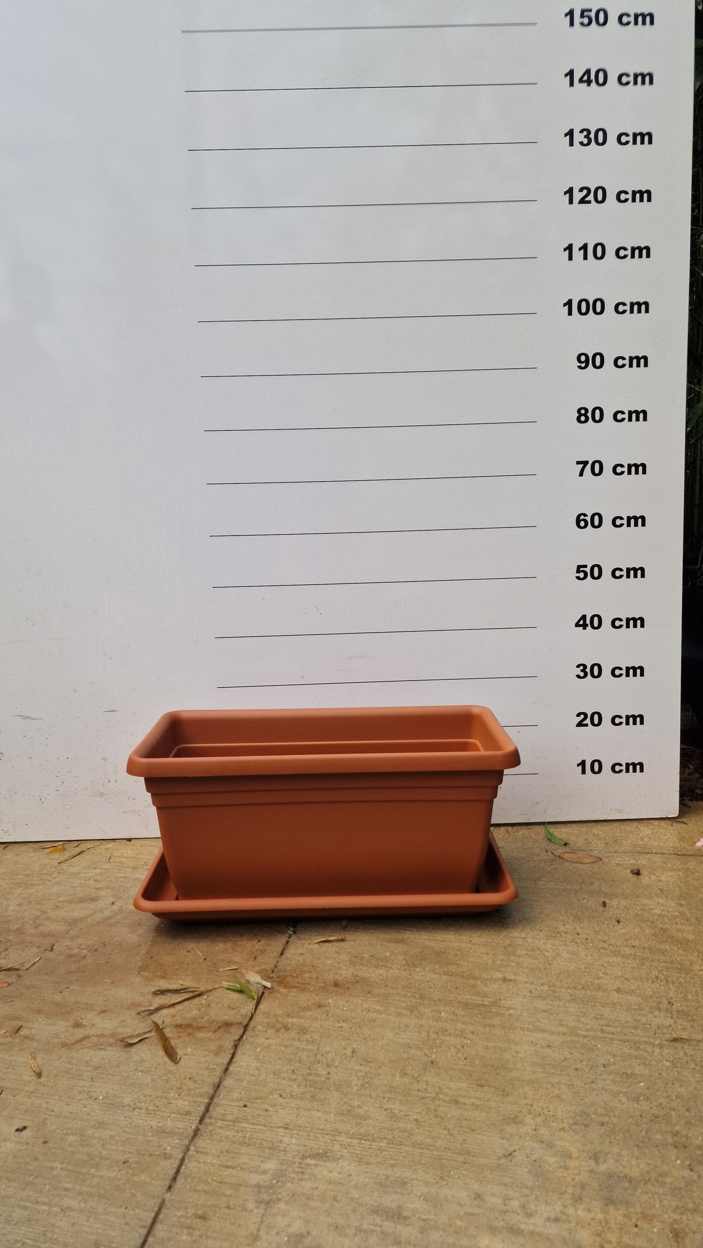 Jardinière Spécial Bambou - 30/50/110L