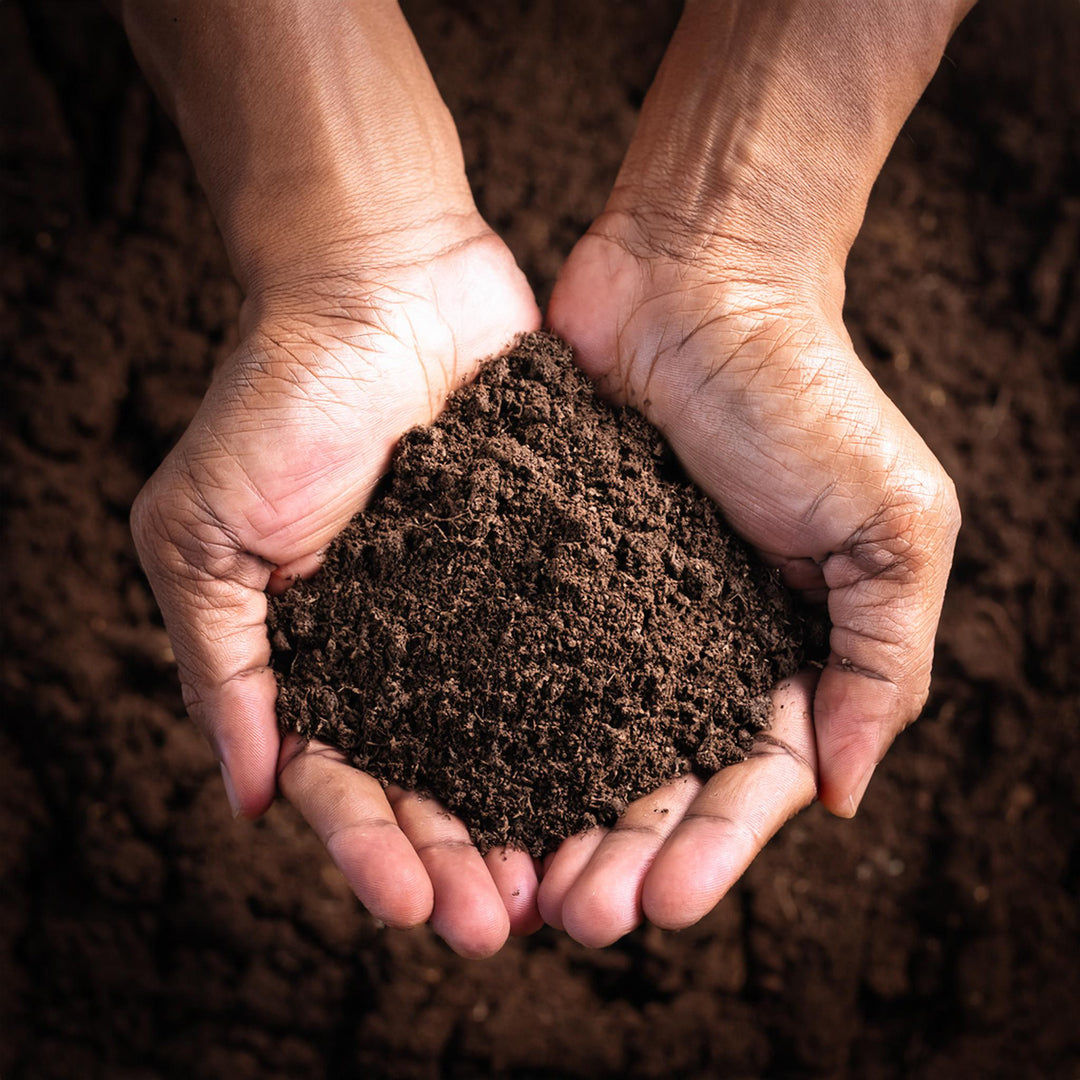 Terreau spécial bambou tout-en-un en sac de 40 litres
