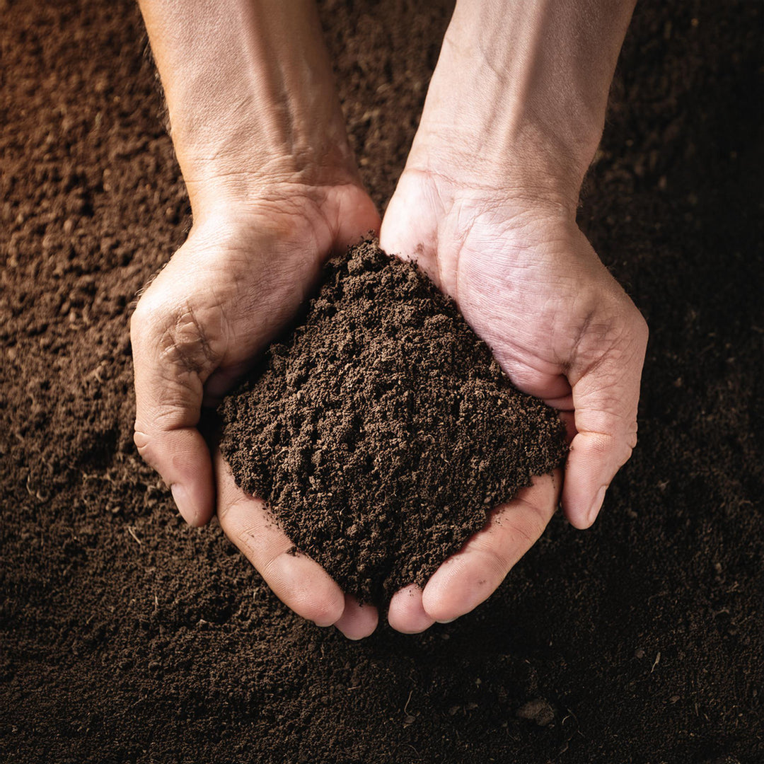 Terreau universel qualité premium (en sac de 40L)