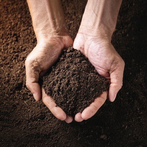 Terreau universel qualité premium (en sac de 40L)