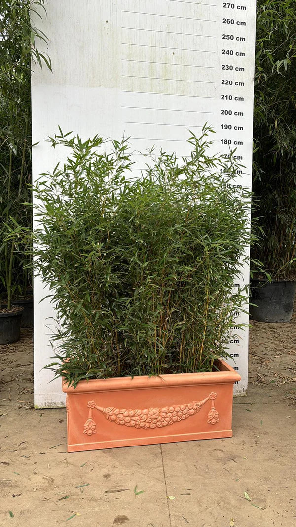 Pot Genova - 35/65/100/120/160L