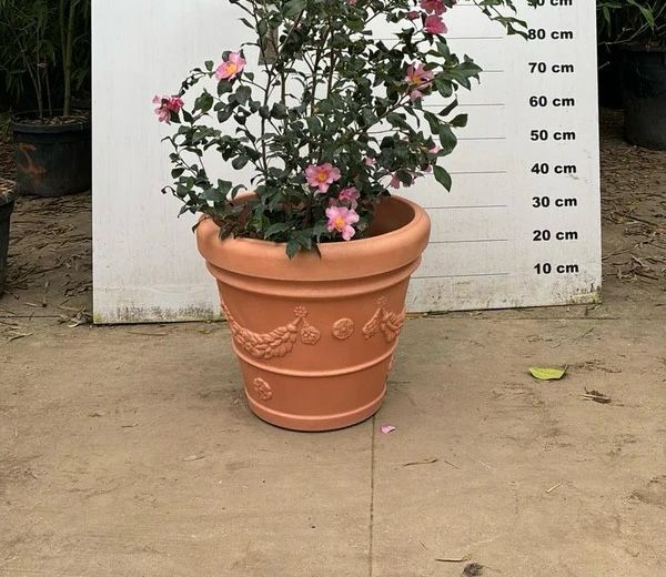 Pot Genova - 35/65/100/120/160L