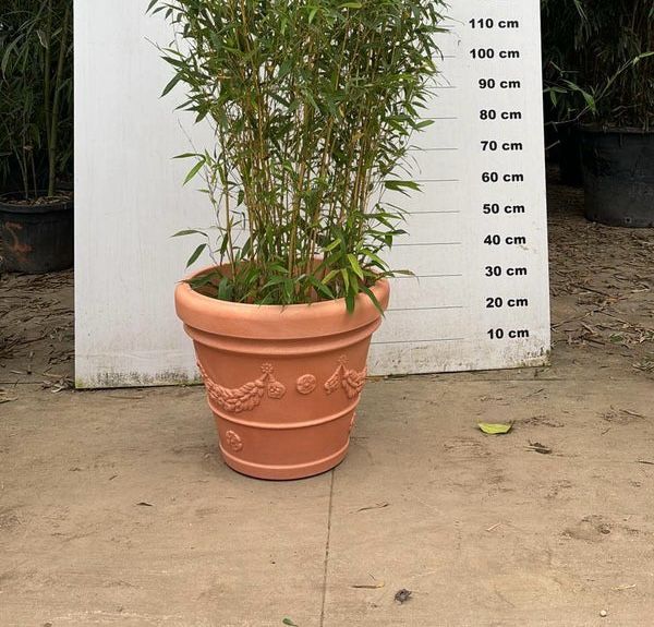 Pot Genova - 35/65/100/120/160L