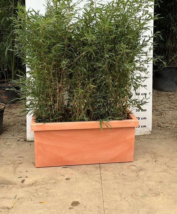 Jardinière Cagliari - 140L