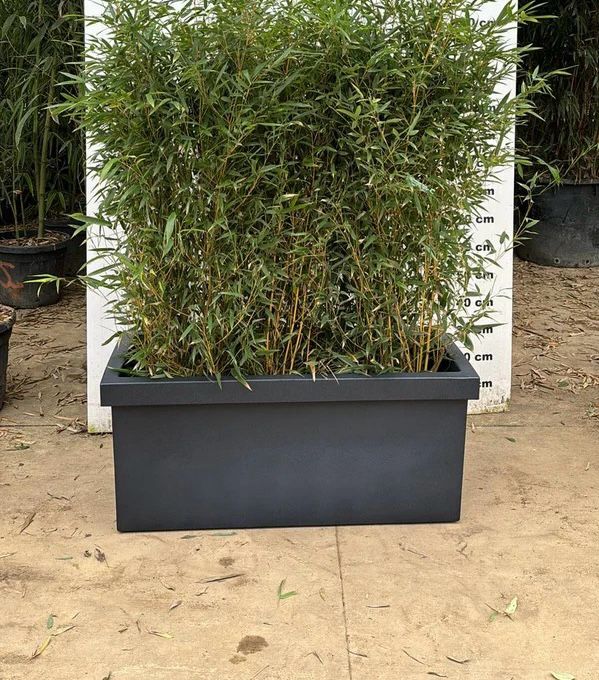 Jardinière Cagliari - 140L