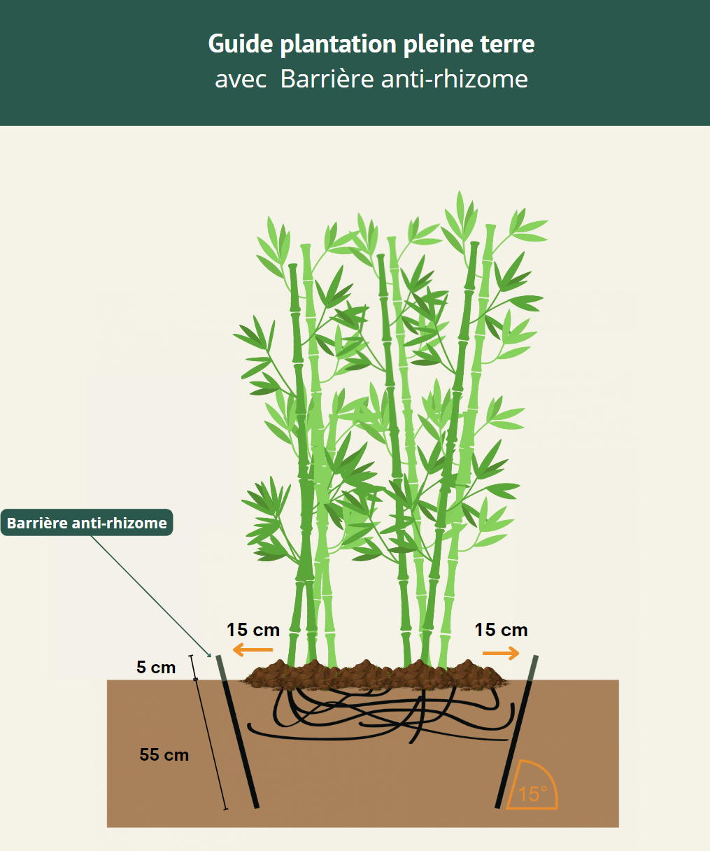 Barrière anti-rhizome (au mètre linéaire) - Par Bambouseraie d'Aix en Provence