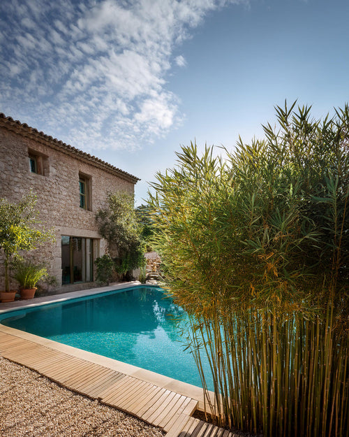 Aménager son jardin avec le bambou : idées et conseils déco