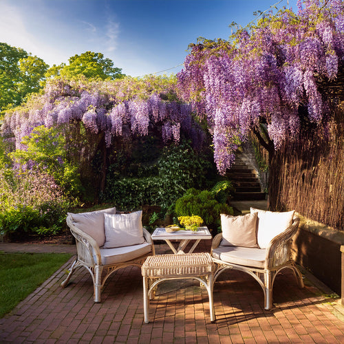 Glycine
