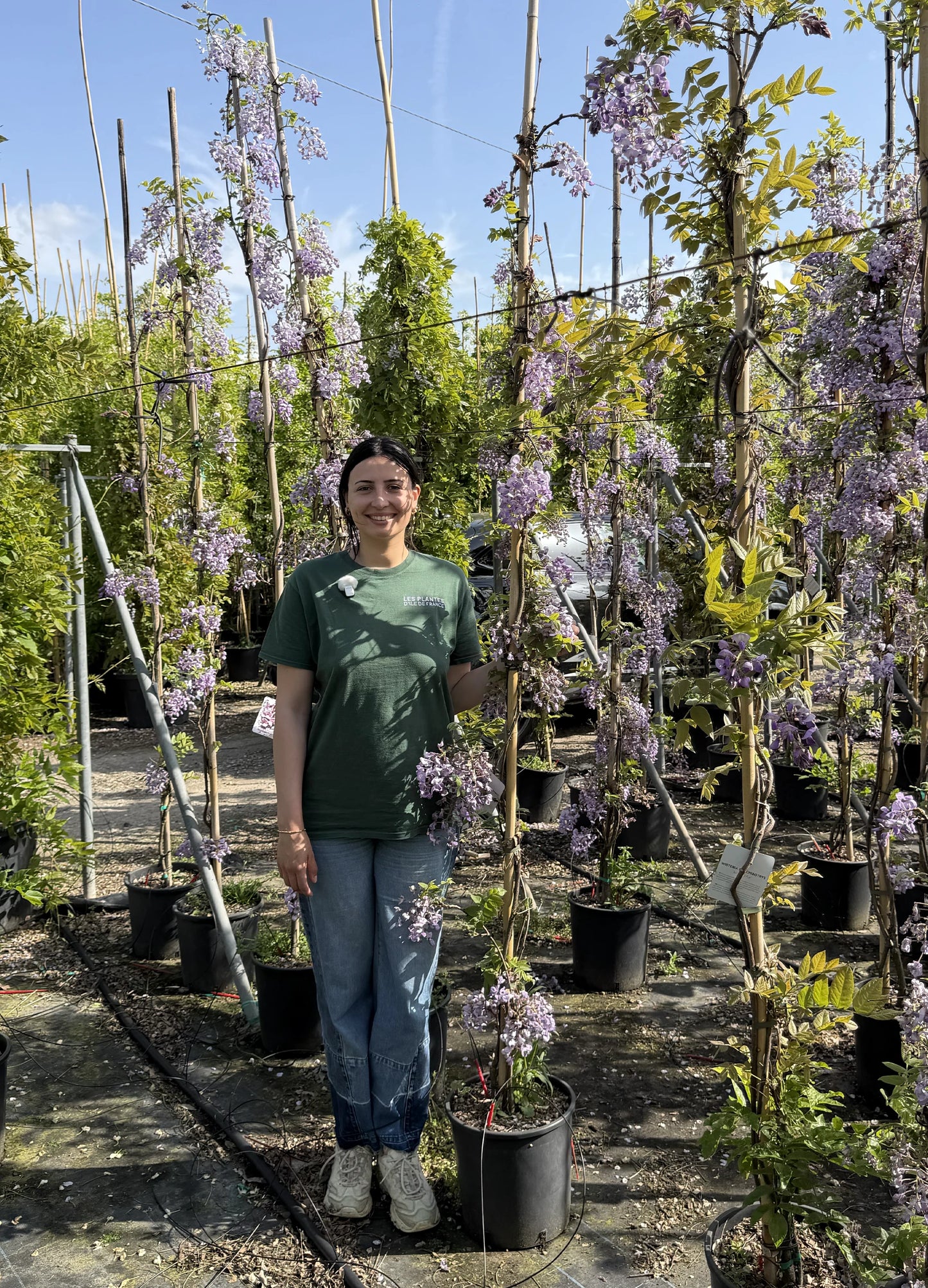 Glycine